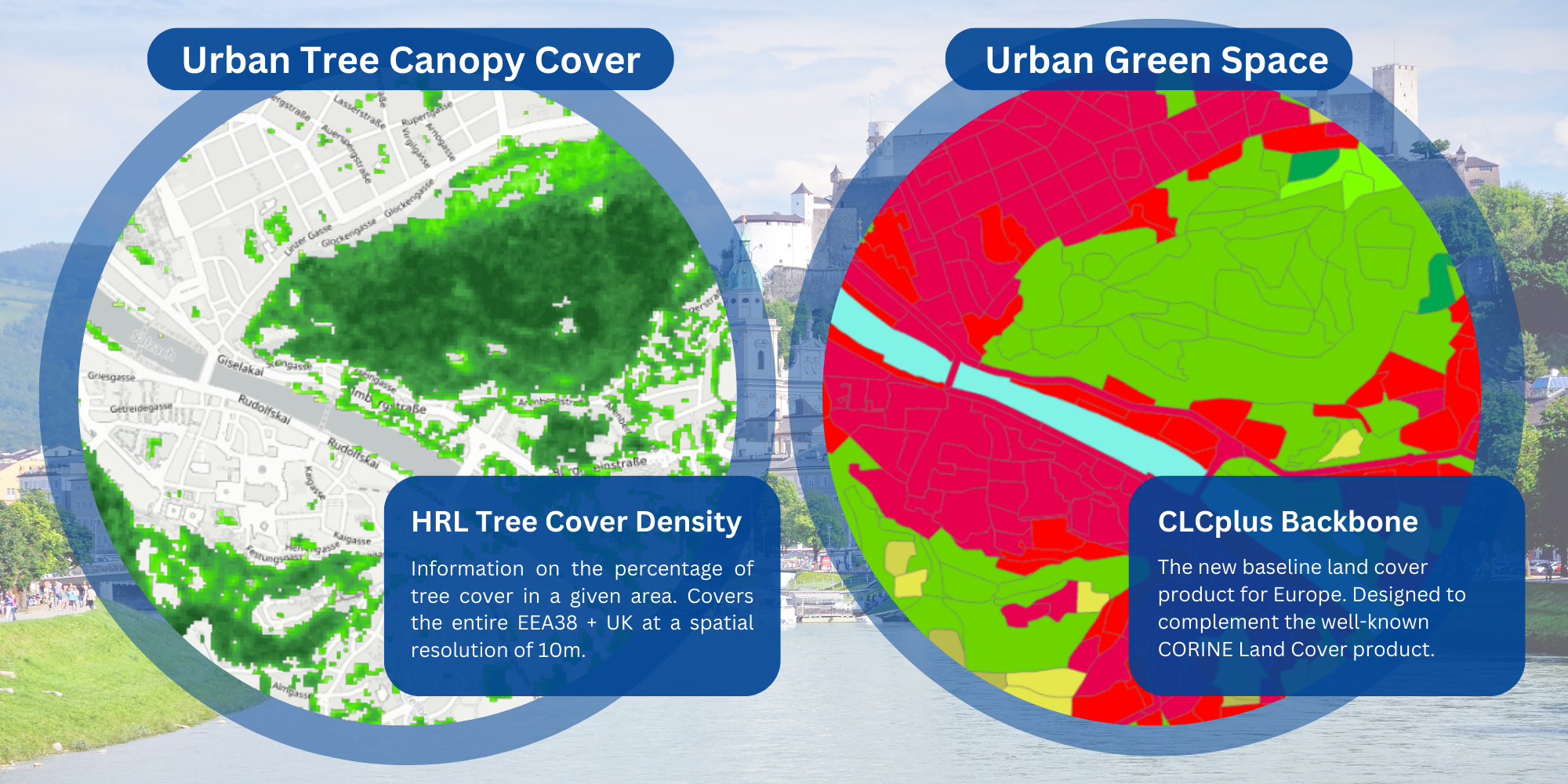 Aerial view of Zurich showcasing a dense urban tree canopy interspersed among city buildings and streets.