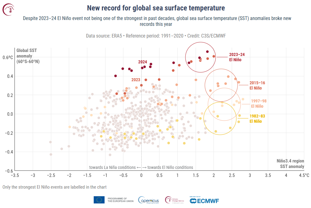 Graph showing global sea surface temperature anomalies from 1980-2024 with El Niño events highlighted. Anomalies range from -0.8 to 0.8, and Niño3.4 region SST anomalies from -2.5°C to 4.5°C.