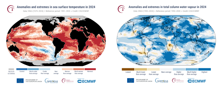Two global maps show 2024 anomalies in sea surface temperature (red hues) and total column water vapor (blue hues) with varying intensity, marked by scales.
