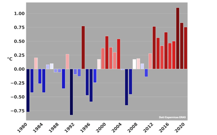 Bar chart of yearly temperature anomalies 1980 – 2021 (reference period 1986 – 2005) for the protected site of Oasi Cesine, in Apulia, Italy, a Ramsar wetland site of international importance. Temperature increase is affecting the entire ecosystem.  Cr...