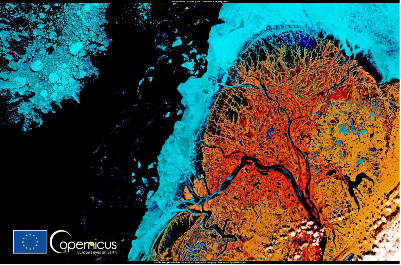 The image shows a stunning false-colour view of the Yukon River Delta in Alaska, acquired by the Copernicus Sentinel-2 satellite on 15 May 2021. The delta features extensive wetlands, depicted in striking tones of red, indicating the thawing tundra no ...