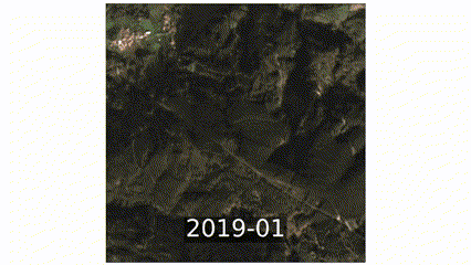 A change detection algorithm revealing alterations over time in a forested region in Portugal. The animation illustrates forest loss during three distinct periods: February 2019, June-July 2019, and June-July 2020. The algorithm identifies these change...