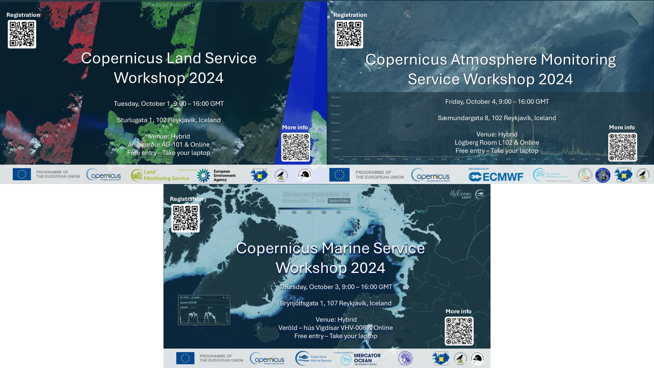 Successful Copernicus Ocean Hackathon and Workshop series in Iceland.