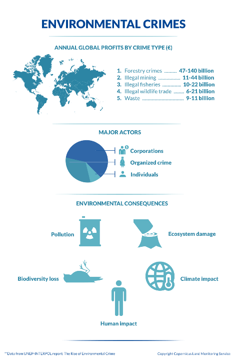 Infographic titled 'Environmental Crimes' showing annual global profits by crime type, with forestry crimes being the highest (47-140 billion euros). A world map is at the top. A pie chart shows major actors in environmental crimes, including corporati...