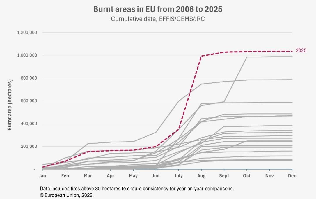 A line chart showing cumulative burnt area in EU Member States from 2006 to 2025, measured in hectares by month. Each grey line represents a individual year; the 2025 line sits well above all others, reaching approximately 1 million hectares by August ...