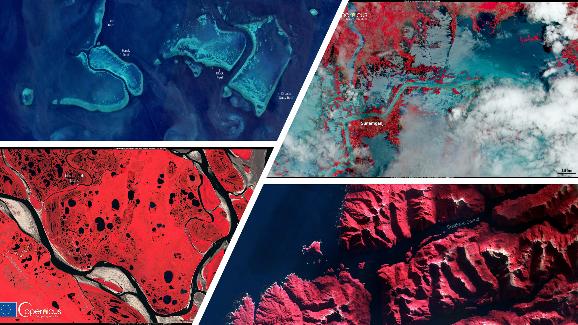 Background pattern, map</p>
<p>Description automatically generated