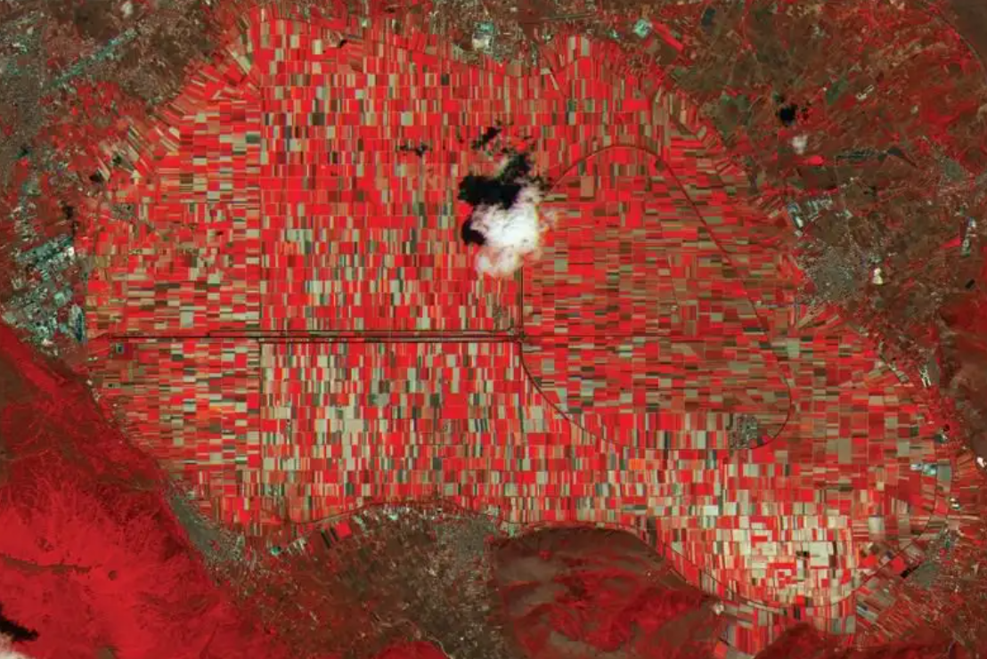 A picture containing red, colorful, ocean floor</p>
<p>Description automatically generated