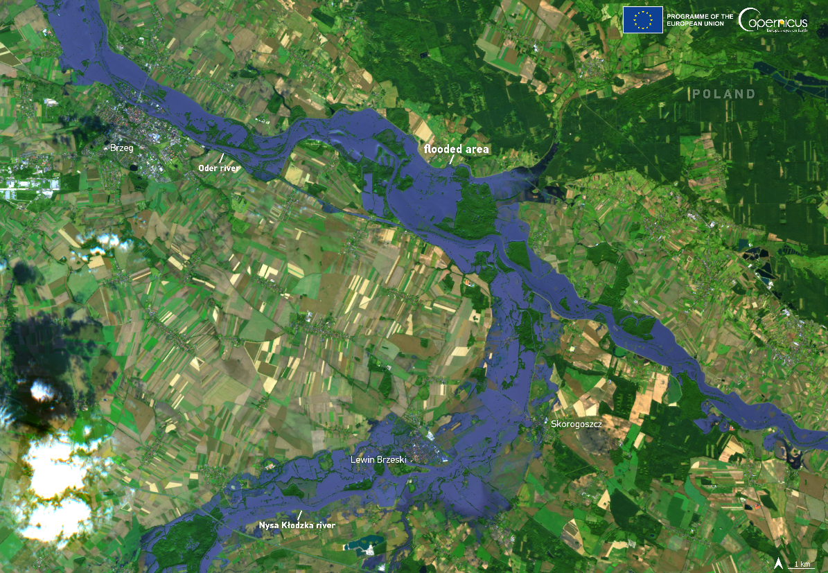 Satellite image showing flooded areas along the Oder River near Brzeg, Poland. The flooded regions are highlighted in blue, affecting towns such as Lewin Brzeski and Skorogoszcz.