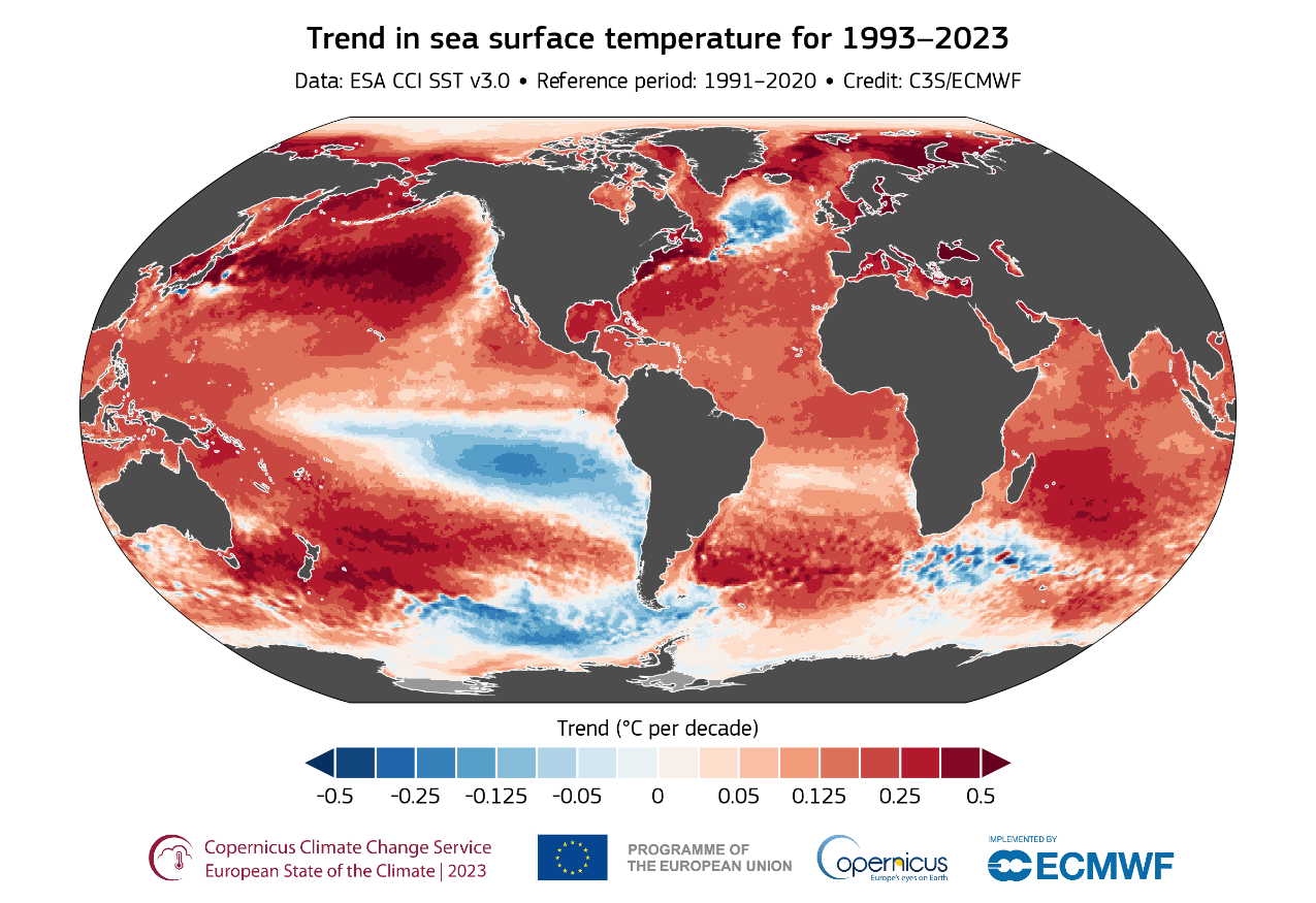 Global map showing sea surface temperature trends from 1993 to 2023. Warmer areas, shown in red, indicate increasing temperatures, while cooler areas, shown in blue, represent decreasing temperatures. Data is referenced to the 1991-2020 period.